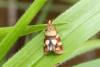 123980 – Photo : Nicolas Alric – France (12)