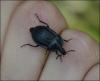 123123 – Photo : Andgelo Mombert – France (25)
