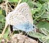 123077 – Photo : Amaury de la Pinsonnais – France (44)