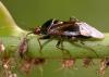 123936 – Photo : Arthropa - Benoit Martha – France (21)