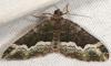 123767 – Photo : Arthropa - Benoit Martha – France (18)
