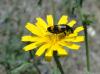 123888 – Photo : OCIS – France (04)