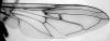 123028 – Photo : Valentin Nidergas – France (73)