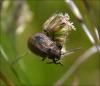 123826 – Photo : Andgelo Mombert – France (39)