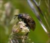 123827 – Photo : Andgelo Mombert – France (39)