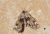 123945 – Photo : Eric SYLVESTRE – Espagne