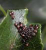 123501 – Photo : Maria Justamond – Royaume-Uni