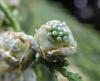 123831 – Photo : Maria Justamond – Royaume-Uni