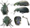 123766 – Photo : Arthropa - Benoit Martha – France (18)