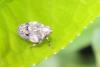 124051 – Photo : Nicolas Alric – France (12)
