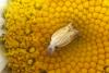 124050 – Photo : Nicolas Alric – France (12)