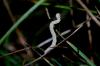 124987 – Photo : Noam Robin – France (36)