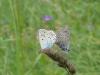 124748 – Photo : OCIS – France (04)