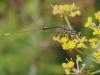 124849 – Photo : Jean-Claude Jamoulle – France (06)
