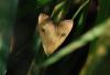 124814 – Photo : Patrick Decreus – France (93)