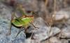 124316 – Photo : Duborget Robin – France (20)