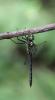 124793 – Photo : Duborget Robin – France (20)