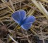 124248 – Photo : Andgelo Mombert – France (39)