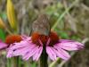 124836 – Photo : Maud Dewaele – Belgique