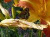 124839 – Photo : Maud Dewaele – Belgique