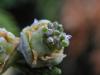 124100 – Photo : Maria Justamond – Royaume-Uni