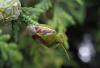 124103 – Photo : Maria Justamond – Royaume-Uni