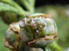 124618 – Photo : Maria Justamond – Royaume-Uni