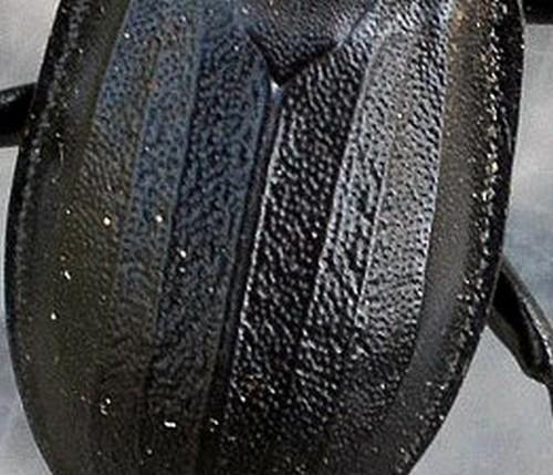 Silpha tyrolensis