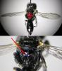 125291 – Photo : Arthropa - Benoit Martha – France (71)