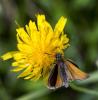 125894 – Photo : lguez – France (73)