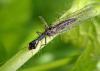 125696 – Photo : Arthropa - Benoit Martha – France (21)
