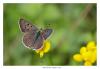 125658 – Photo : Denis Girard – France (74)