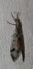 125704 – Photo : Duborget Robin – France (20)