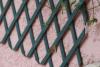 125134 – Photo : Insector – France (13)