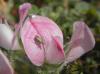 125160 – Photo : Maria Justamond – Royaume-Uni
