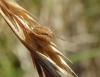 125036 – Photo : Maria Justamond – Royaume-Uni