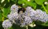 125713 – Photo : BP – France (29)