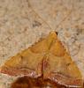 126299 – Photo : Jean Marc MERIGOT – France (27)