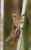 126045 – Photo : Vincent Derreumaux – France (20)
