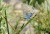 126065 – Photo : David Sannier – France (20)