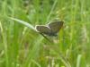 126691 – Photo : Franck Faucheux – France (91)