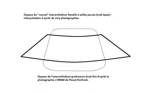 Indéterminé