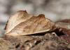 127844 – Photo : Eric SYLVESTRE – Andorre