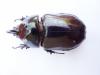127096 – Photo : Pierre Cabrol – Madagascar