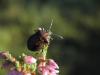 127721 – Photo : Maria Justamond – Royaume-Uni