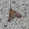 127521 – Photo : Ppersuy – Portugal
