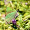127746 – Photo : BERNARD Pierre-Jean – France (13)