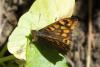 128734 – Photo : Nicolas Alric – France (12)