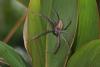 128731 – Photo : D. Martinez – Philippines
