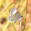 128249 – Photo : Mathurin CARNET – France (22)